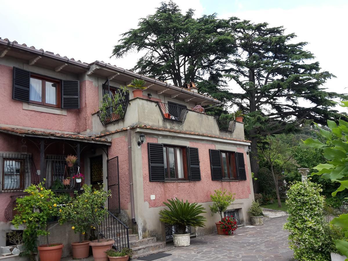 Bed&Breakfast "Fiorella" Sul Lago Castel Gandolfo Zewnętrze zdjęcie