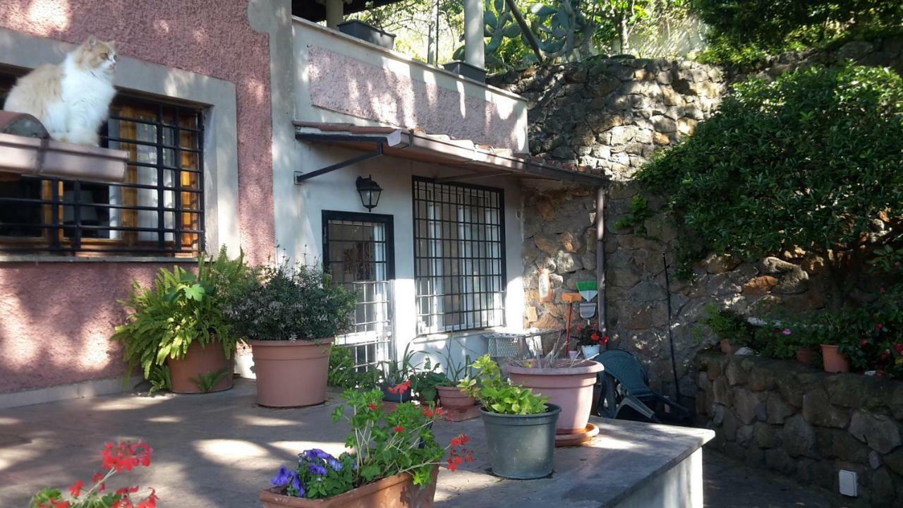 Bed&Breakfast "Fiorella" Sul Lago Castel Gandolfo Zewnętrze zdjęcie